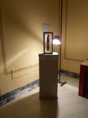 d0136540_2016710.jpg