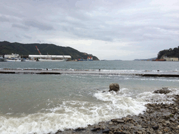 女川_a0026445_2282110.gif