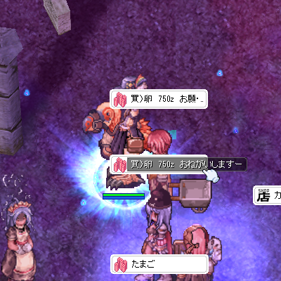a0154445_23521151.png