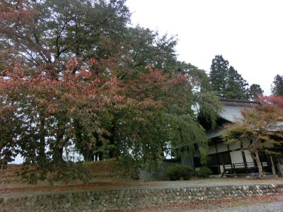 ポレポレウォーク「白磁の人」_f0019247_2119308.jpg