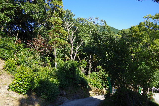 篠栗四国八十八箇所霊場 　第２７番札所　【金出神峰寺】_c0011649_4465092.jpg