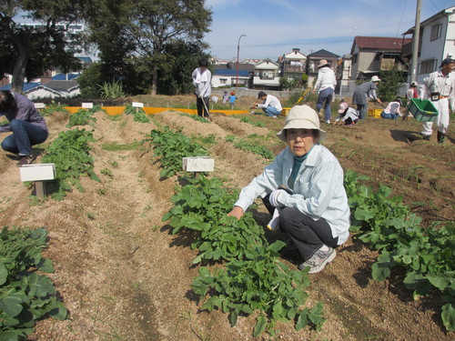 2週間経ちました_f0079749_19252165.jpg