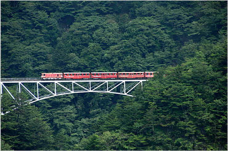 「関の沢鉄橋（川底から100m）_c0122452_716423.jpg