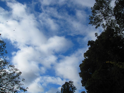 a0187356_14364721.jpg