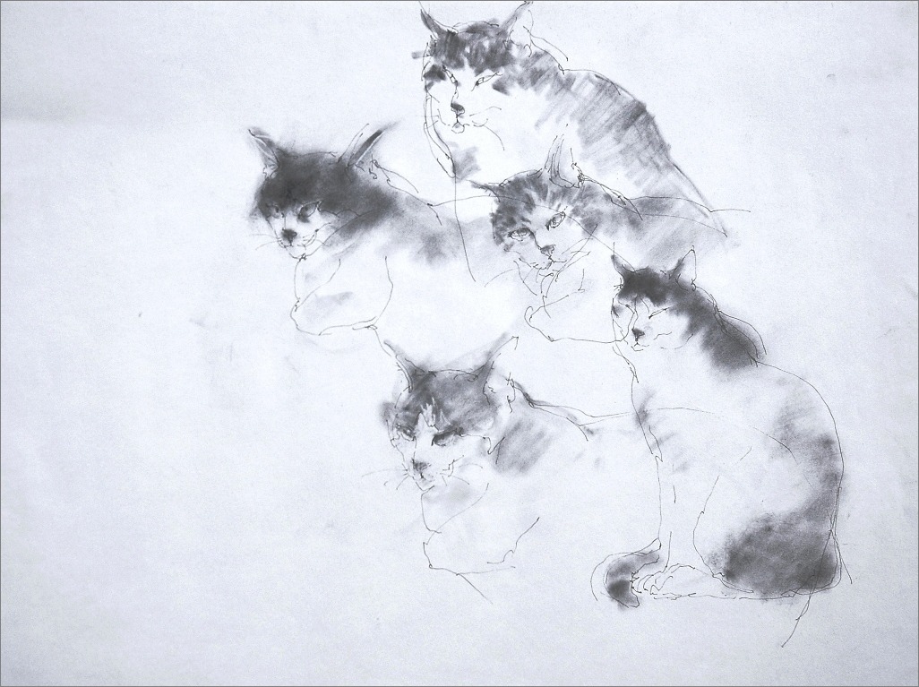 クロッキー 猫 画室 游 Croquis Drawing Dessin Sketch クロッキー 猫 画室 游 Croquis Drawing Dessin Sketch