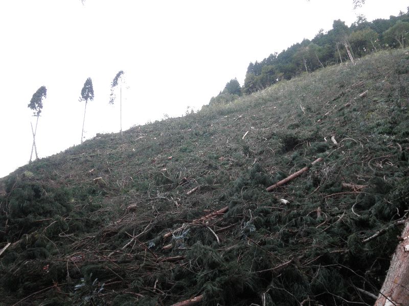 c0016259_2149276.jpg