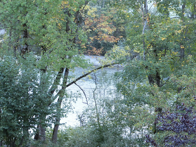a0259960_0223156.jpg