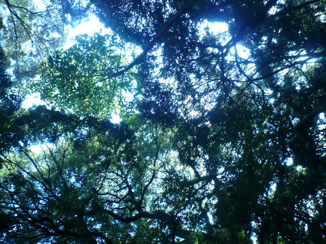c0084261_20512737.jpg