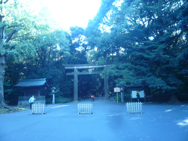 c0084261_2051669.jpg
