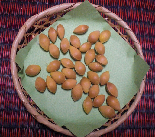 a0053063_19482663.jpg