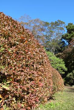 a0072064_20415998.jpg