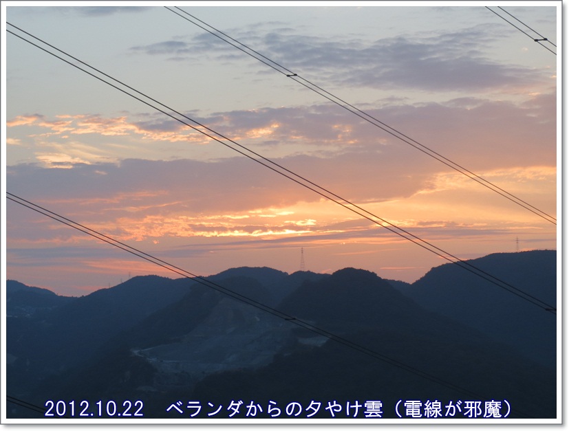 a0052666_4304438.jpg