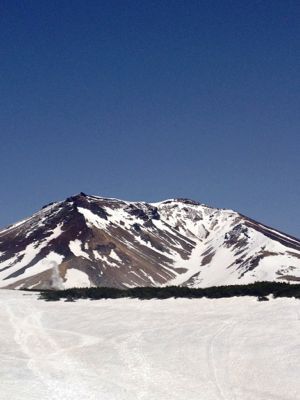 b0281366_15472112.jpg
