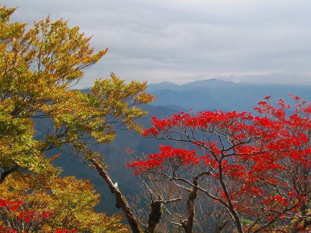 2012.10.27　寒風山～笹ヶ峰_c0219866_10424139.jpg