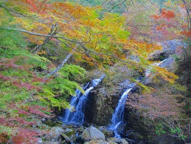 2012.10.27　寒風山～笹ヶ峰_c0219866_1055820.jpg