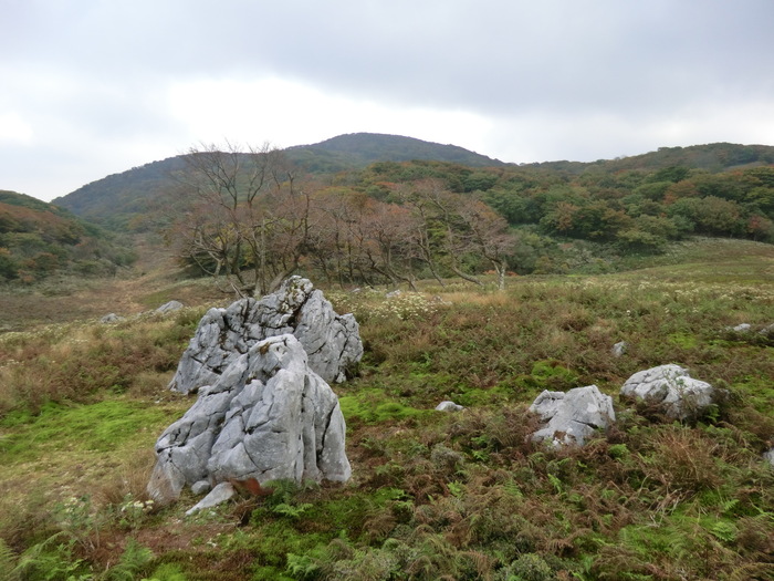 No249鈴鹿の最高峰・御池岳　鞍掛峠トンネルは通行止め_b0185573_849547.jpg