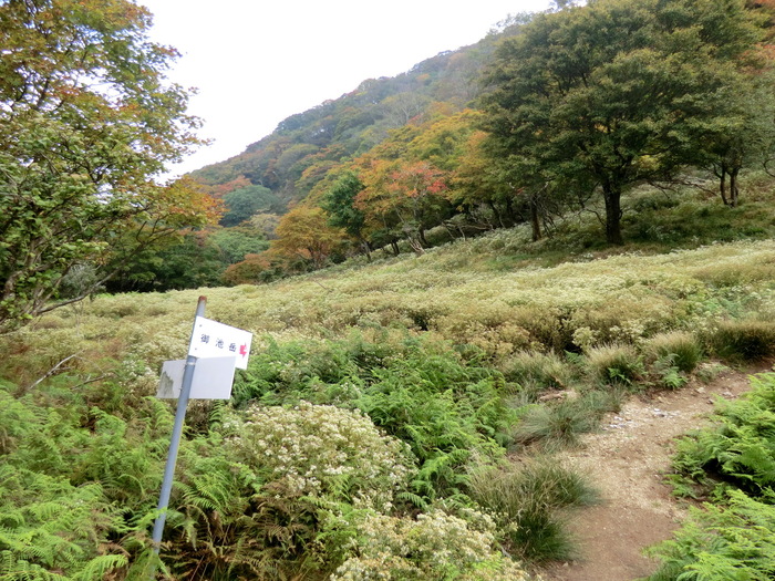 No249鈴鹿の最高峰・御池岳　鞍掛峠トンネルは通行止め_b0185573_9245733.jpg