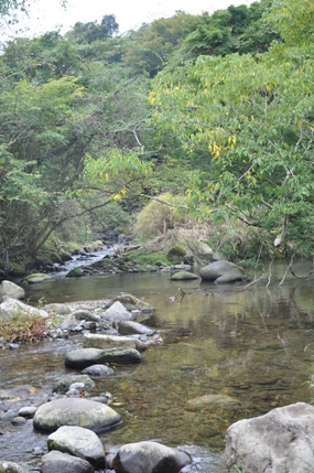 f0164374_19442988.jpg
