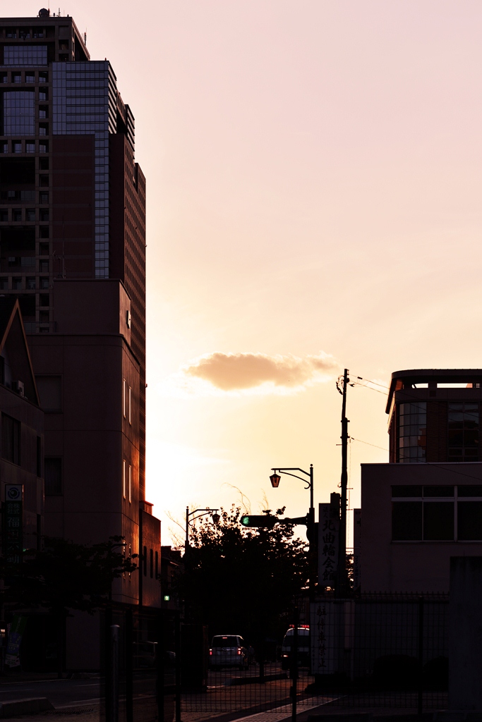 b0260378_8432422.jpg