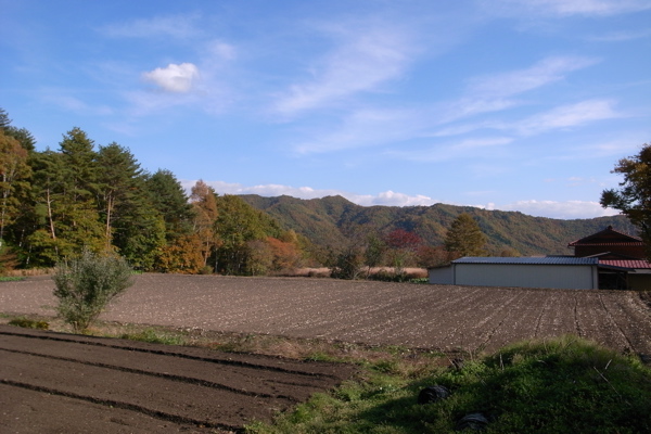 f0124378_2342176.jpg