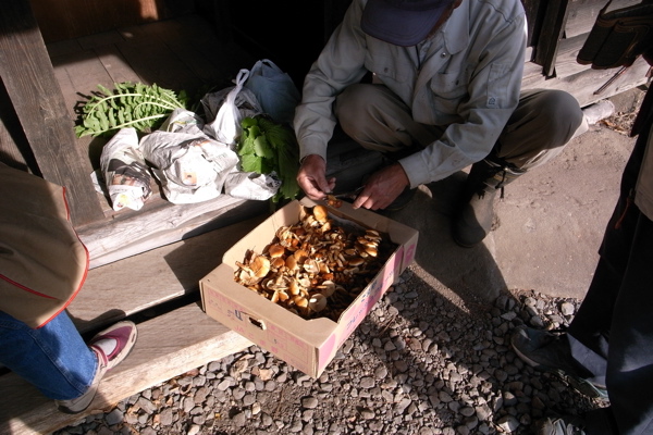 f0124378_2343188.jpg