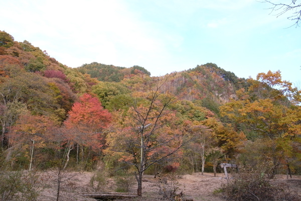 f0124378_2345041.jpg