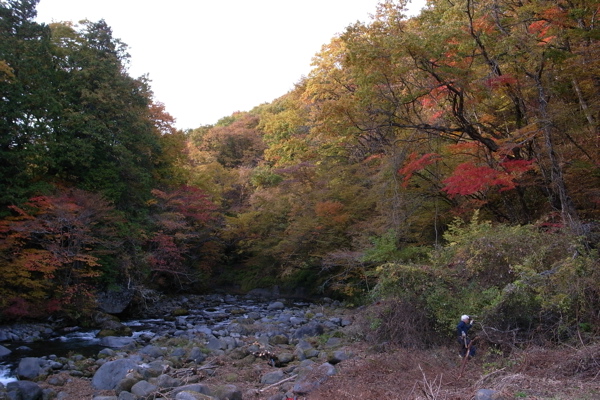 f0124378_235235.jpg