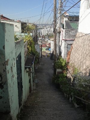 e0108979_03364.jpg