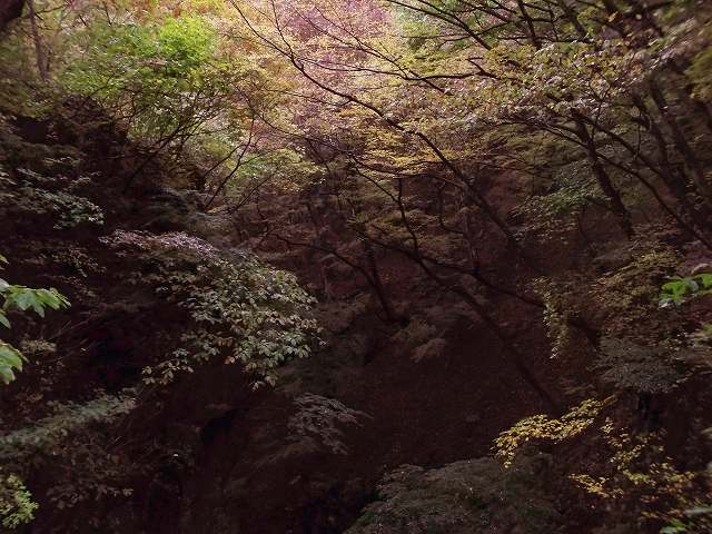 c0212083_22395655.jpg