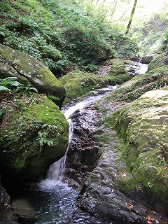 根尾西谷川支流下津谷からツルベ岳1032m_e0064783_17125867.jpg