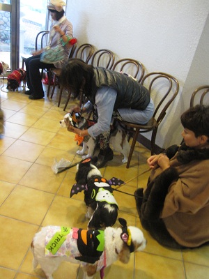 e0121583_200752.jpg