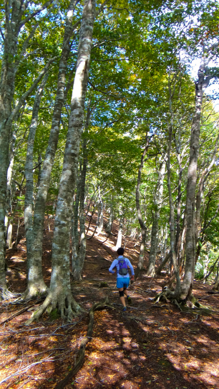 2012/10/24　滋賀駒ヶ岳トレイルランニング_b0220886_2327367.jpg