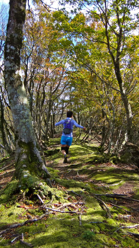 2012/10/24　滋賀駒ヶ岳トレイルランニング_b0220886_2333142.jpg