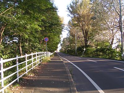 f0078286_0184744.jpg