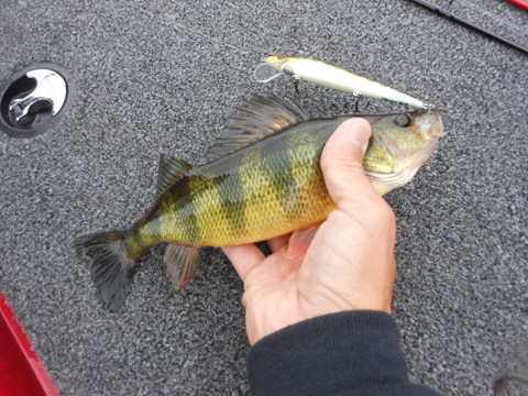 f0024887_23165176.jpg