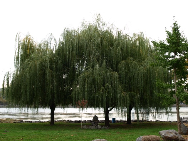 d0204189_10485651.jpg