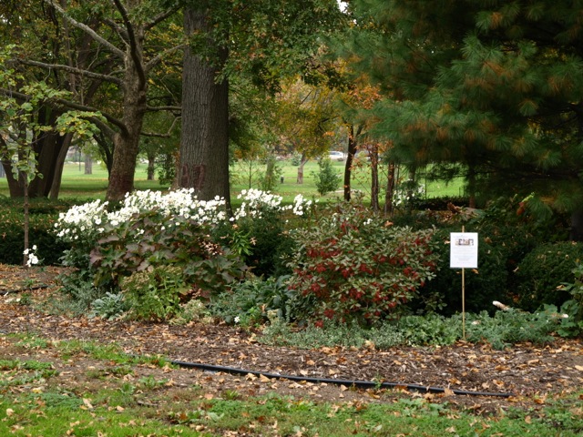 d0204189_10485911.jpg