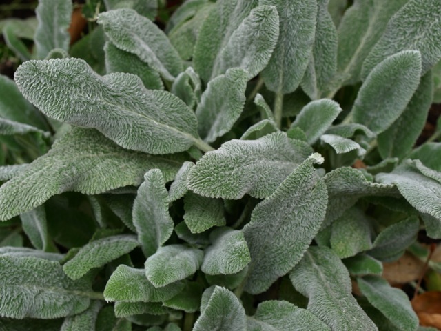 d0204189_10542957.jpg
