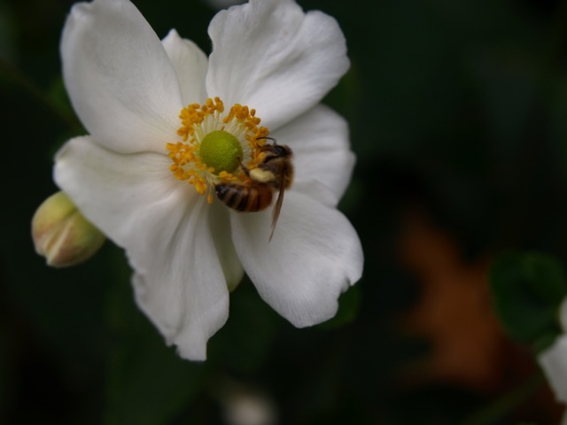 d0204189_10543567.jpg