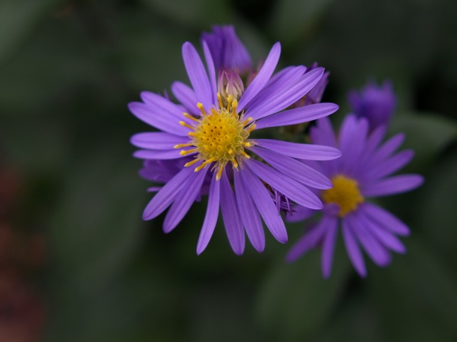 d0204189_11183763.jpg