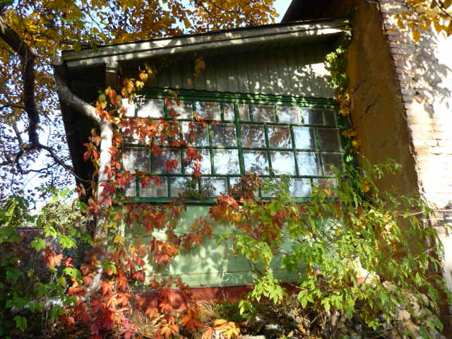 a0130093_22221569.jpg