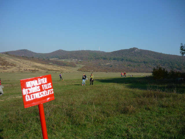 a0130093_22252648.jpg