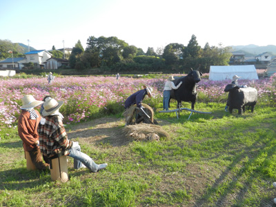 LOVELY 那奈ちゃんが行く！ その11 〜高取町 町家の案山子めぐり〜_e0204795_8481314.jpg