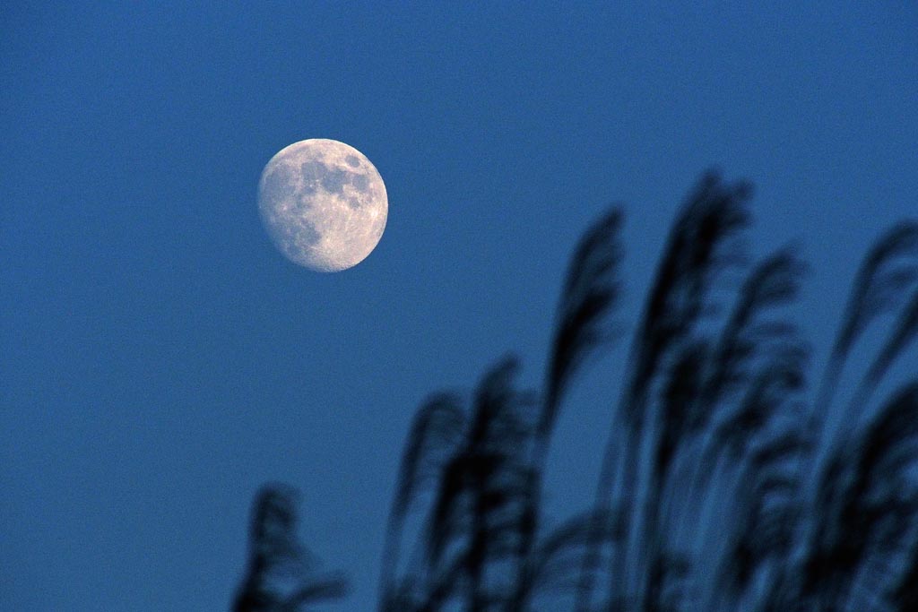 b0024798_10123986.jpg