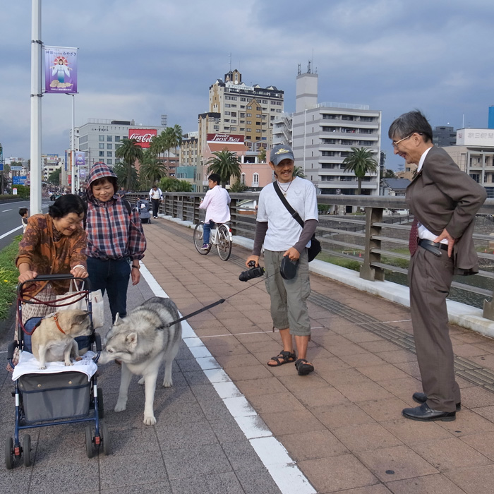 宮崎神武大祭2012_c0049299_1524494.jpg