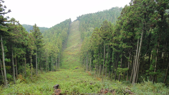 f0036700_10492041.jpg