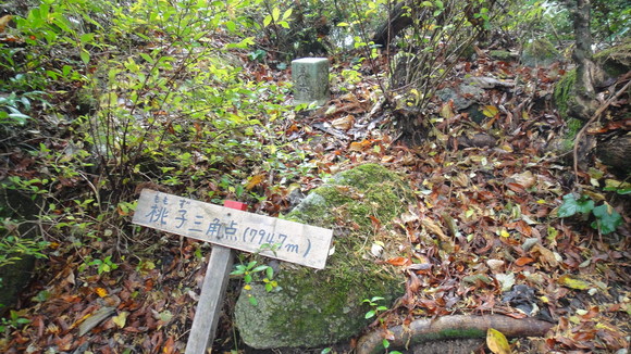 f0036700_10492775.jpg