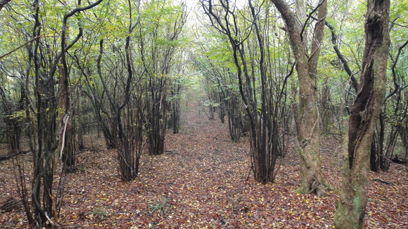 f0036700_10511313.jpg