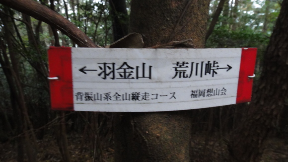 f0036700_10571873.jpg