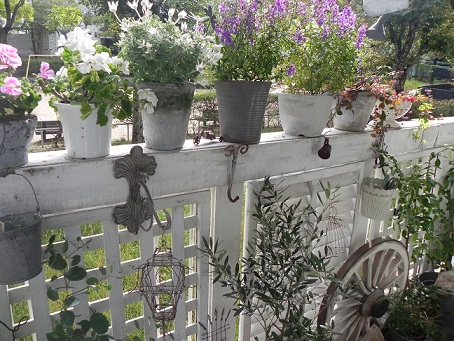 c0152002_1859075.jpg